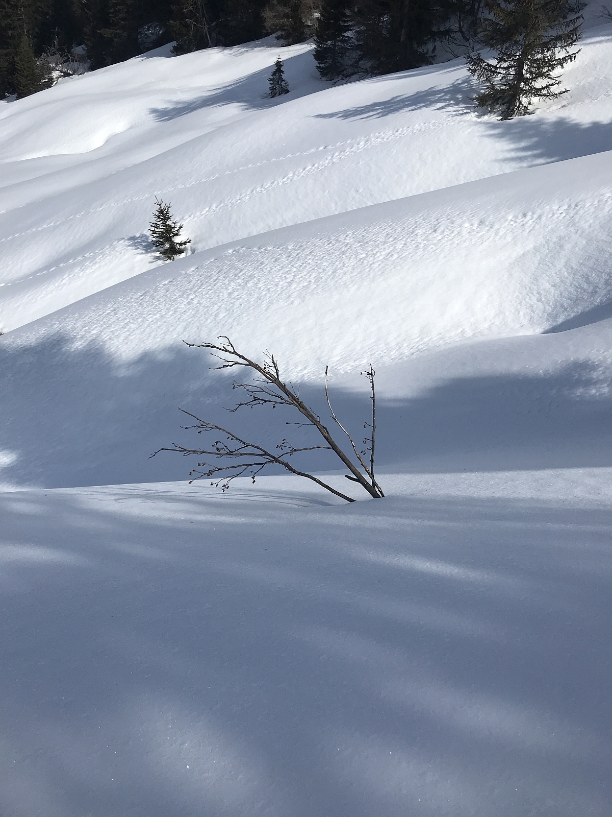 12_12. Mrz 22_SAC Schneeschuh Hasenegggrat (103)